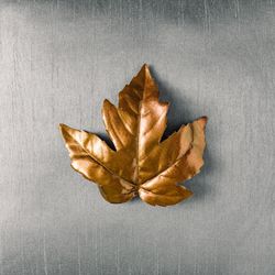 Autumn golden leaf with gray background