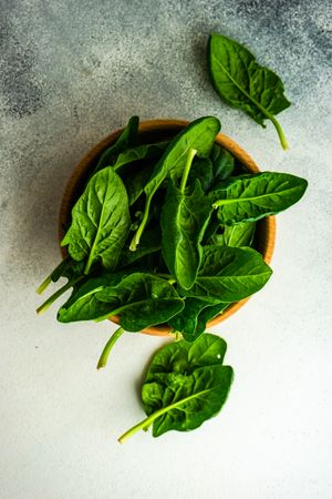 Bowl of fresh spinach on grey counter with copy space