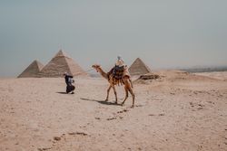 Man leading camel near Great Pyramids