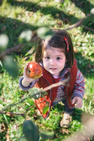 Little girl holding organic apple in her hand