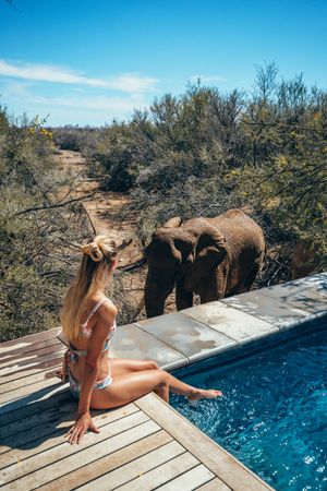 Woman in bikini sitting beside swimming pool while elephant walking by