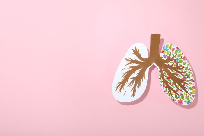 Paper lungs with painted bronchi and flowers on pink background with copy space