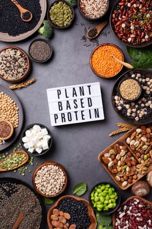 Bowls of healthy grains and vegetables with “Plant Based Protein” sign in center