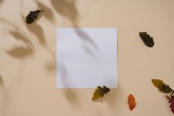 Fall leaves with shadows on sand pastel background with paper square
