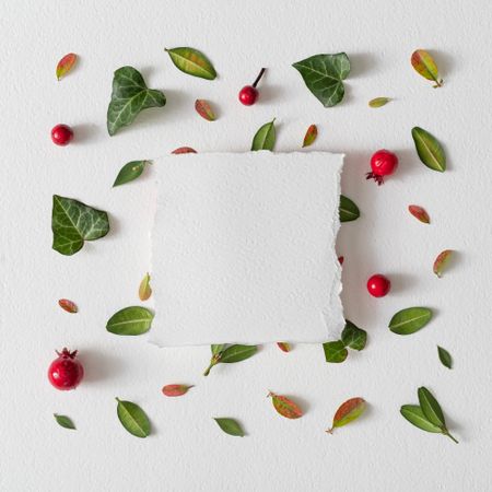 Green and red leaves, red berries on light  background with paper card