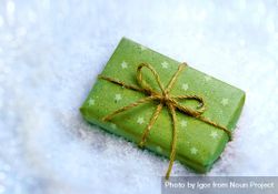 Green gift in snow 41ll3D