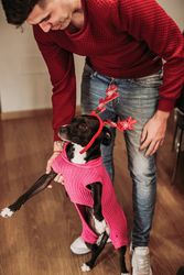 Man with dog in funny Christmas costume