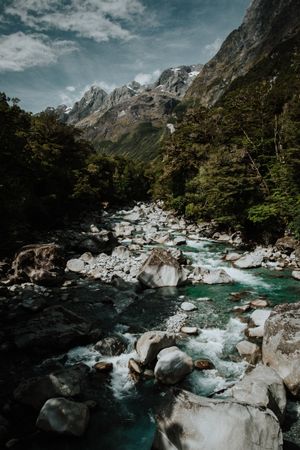 Mountain river in summer day