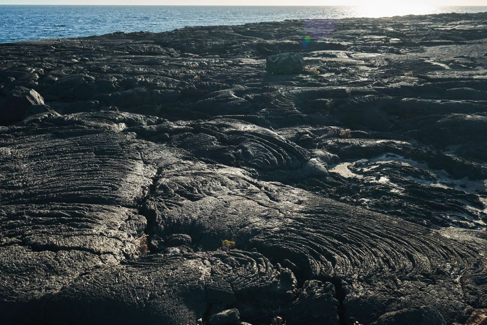 Rough shore of sea