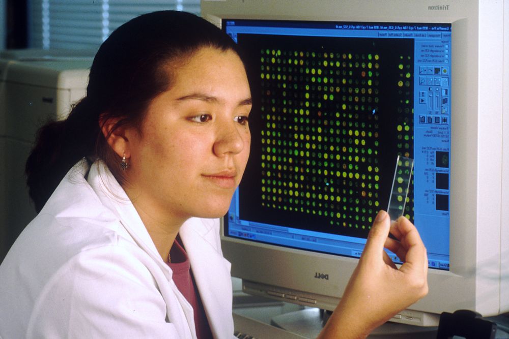 Bethesda, MD - USA, October 2000: Scientist holding a slide conducting DNA research