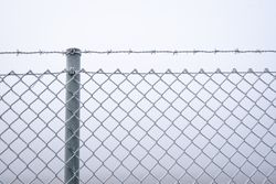 Frozen wire fence