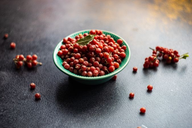 Ripe red berry of Autumn Olives in a bowl on stone background with copy space