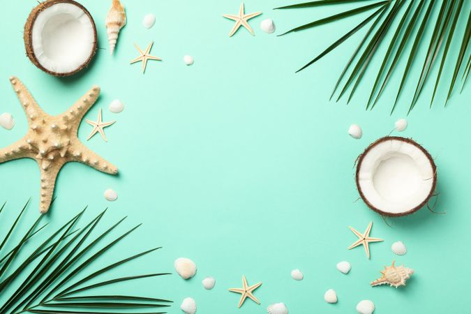 Palm branches, starfishes and coconut on mint background, space for text