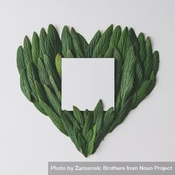 Heart made of green leaves with paper card 47ZZ65