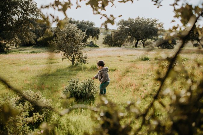 Young boy walking through a grassy park with trees