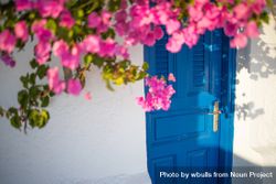 Blue door with pink flowers overhanging 48DLJ4