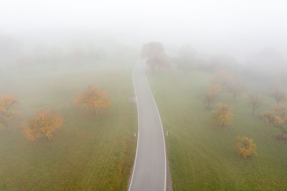 Drone shot with a road passing through an autumn orchard on a foggy morning