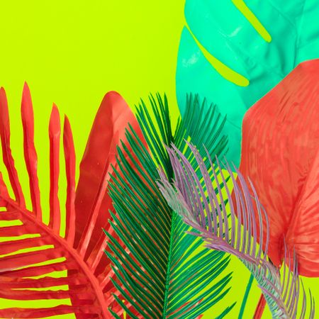 Painted tropical and palm leaves in vibrant bold colors on green background