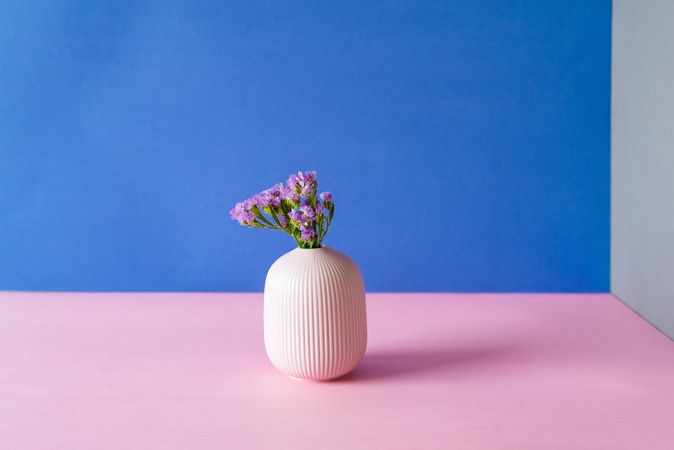 Violet sea lavender flowers in a multicolor background