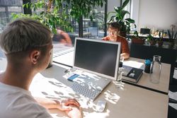 People working in sunny modern office