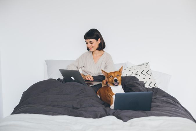 Woman works from home on laptop in bed with dog also on laptop