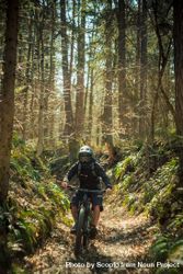 Man riding bike in forest 4mGpQ0