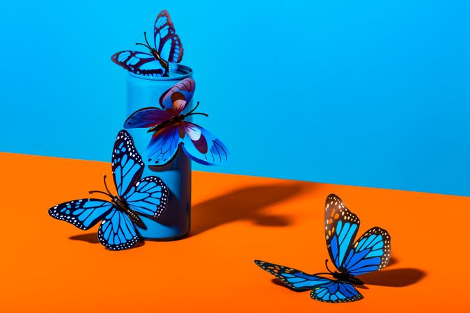 Plastic butterflies on metal blue can