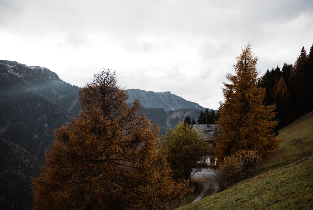 Lonely house in field by mountain