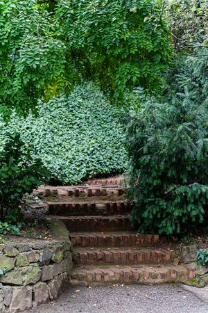 Autumnal garden with seasonal plants and flowers