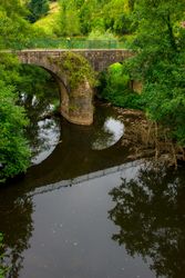 Tranquil river in green vegetation with aged bridge