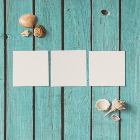 Three blank photos on blue wooden background with seashells