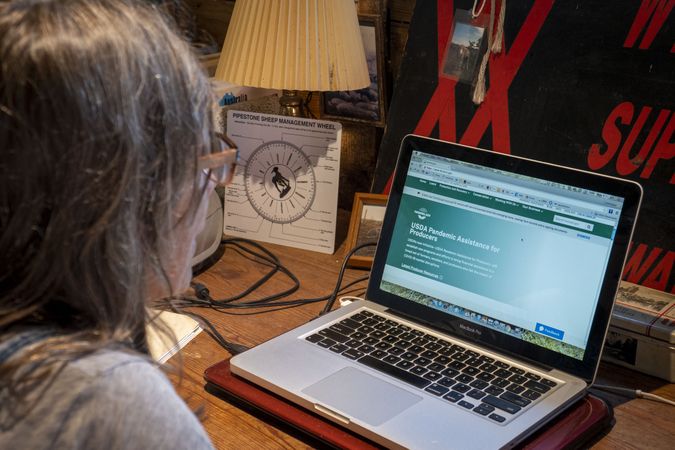 Woman farmer looking at laptop screen to read about pandemic assistance for farmers