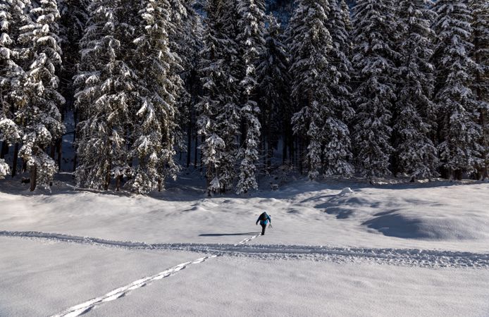 Photographer walking through deep snow toward the forest in the Bavarian Alps, Germany