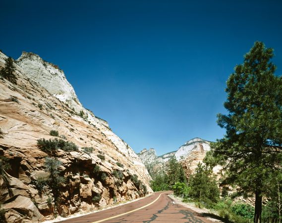 Red Road Through Zion National Park, Utah