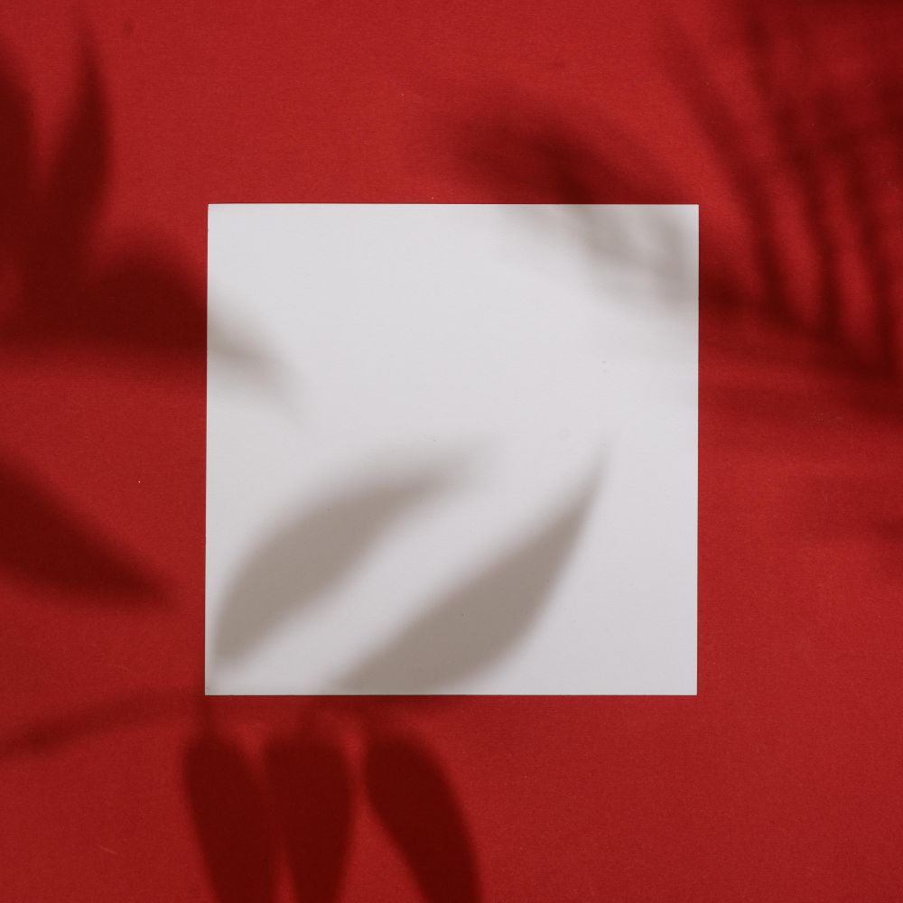 Top view of tropical leaf shadow on red background with paper card