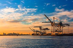 Cranes at the seaport near city during sunset