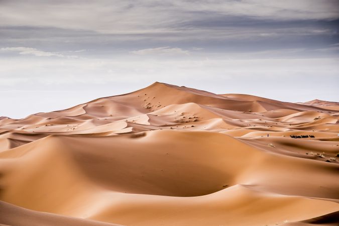 Sand dunes in Sahara desert