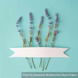 Spring composition made with lavender flowers on bright blue background 5lpXe5