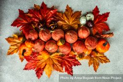 Braid of onion on bed of colorful autumn leaves 5wOpm5