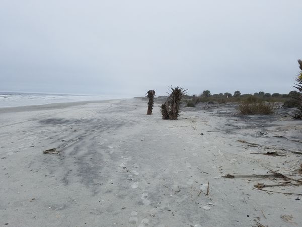 Empty beach after storm