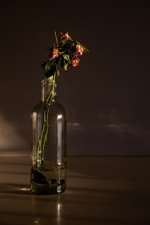 Pretty flowers in glass vase