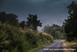 Narrow country road surrounded by trees and with low clouds 5aMRd5