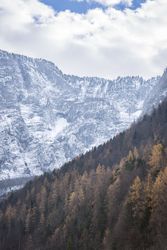 Autumn forest and snowy mountains
