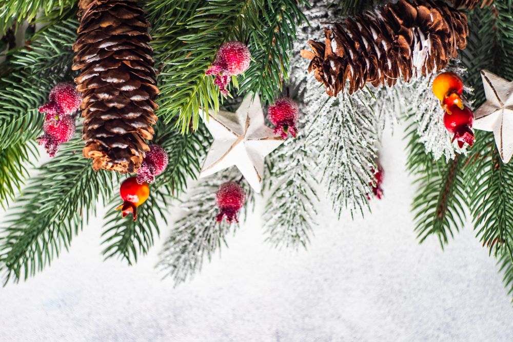 Christmas branch, pine cones, ornaments and holly on grey background