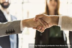 Businesspeople handshake in the office bE9py7