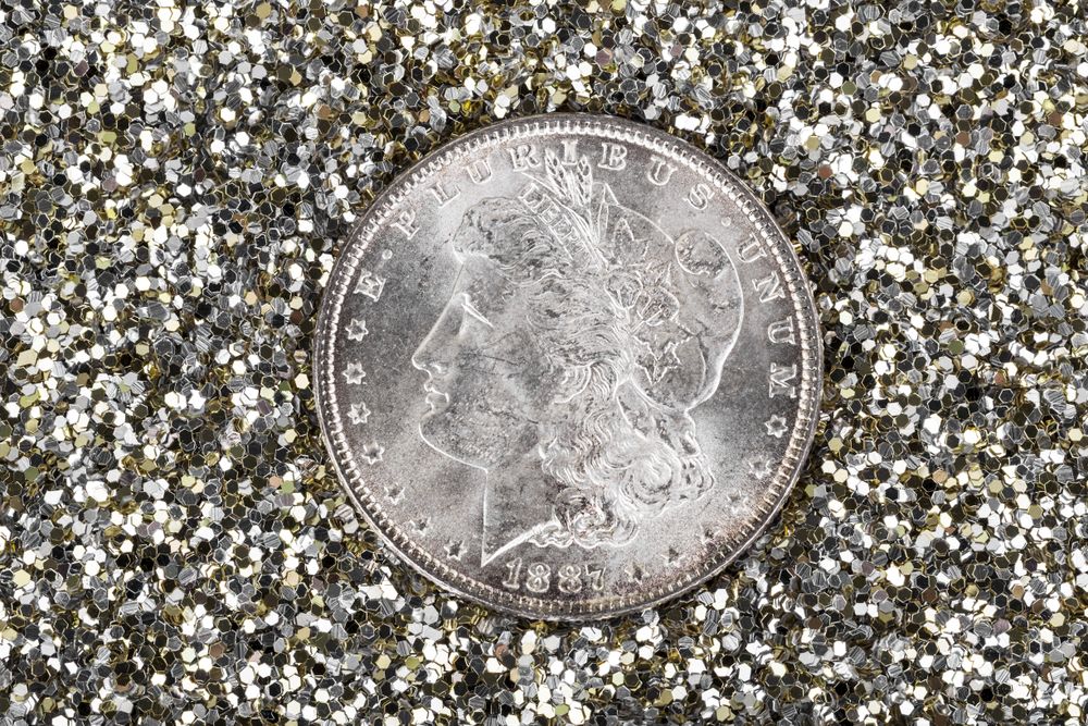 Silver Dollar with Sparkling Glitter