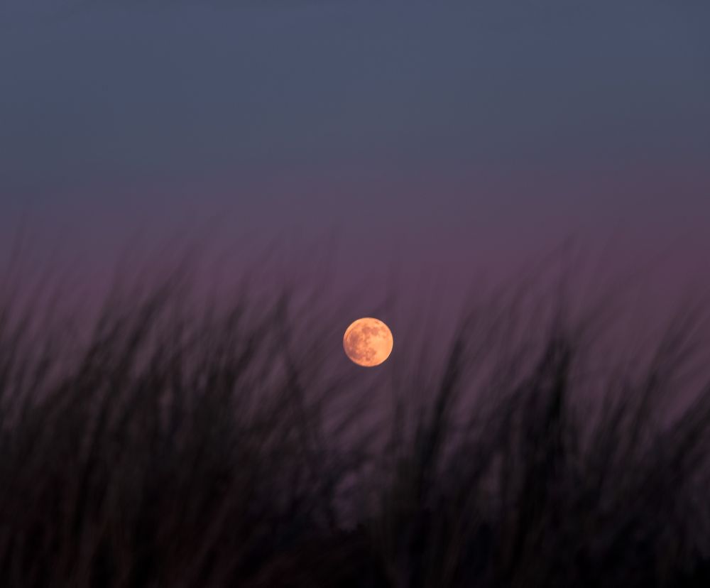 Purple blue sky with a full moon