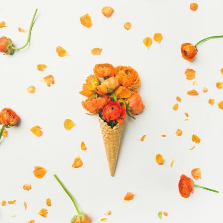 Centered waffle cone with orange buttercup flowers on a light background with decorative petals