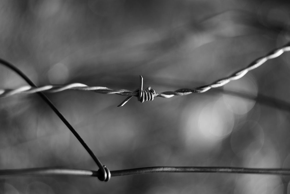 Tense barbed wire