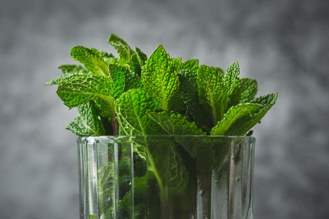 Fresh mint leaves put in a glass jar